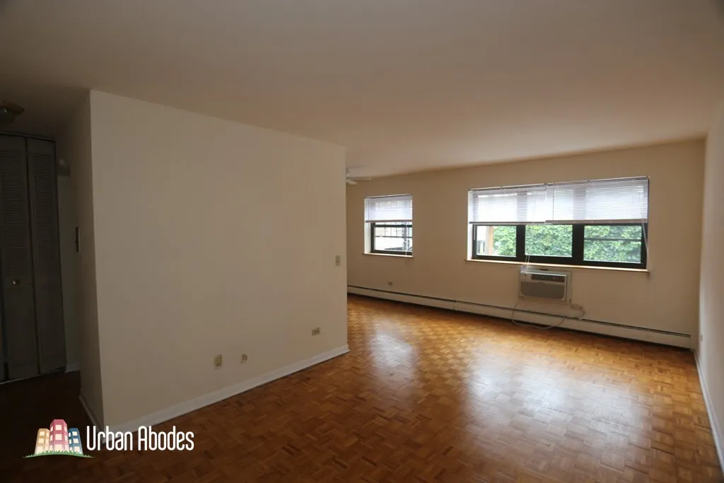 510 W Briar Pl, ,  60657, USA 60657-unit#207-Chicago-IL