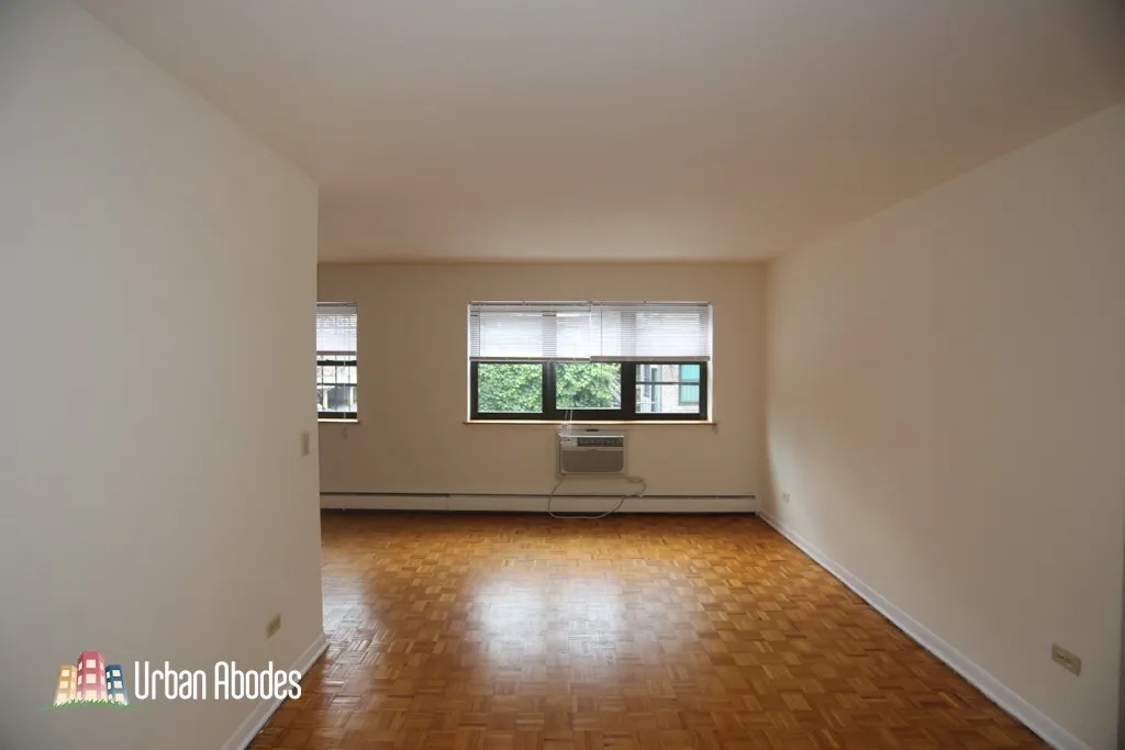 510 W Briar Pl, ,  60657, USA 60657-unit#207-Chicago-IL