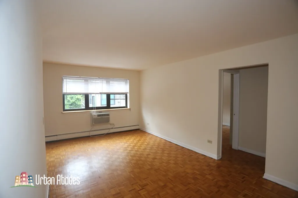 510 W Briar Pl, ,  60657, USA 60657-unit#207-Chicago-IL