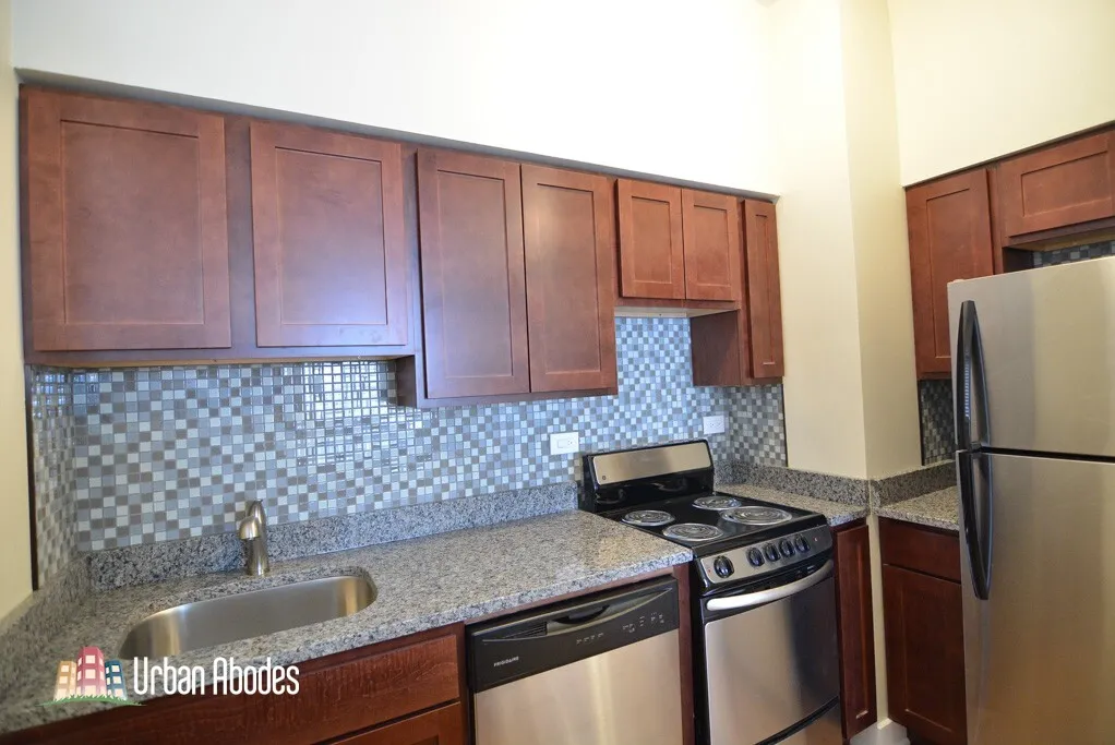 1425 N Dearborn St, ,  60610, USA 60610-unit#4C-Chicago-IL