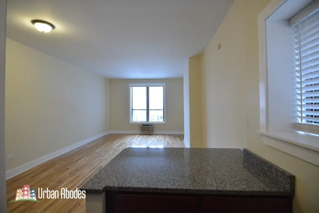 1425 N Dearborn St, ,  60610, USA 60610-unit#4C-Chicago-IL
