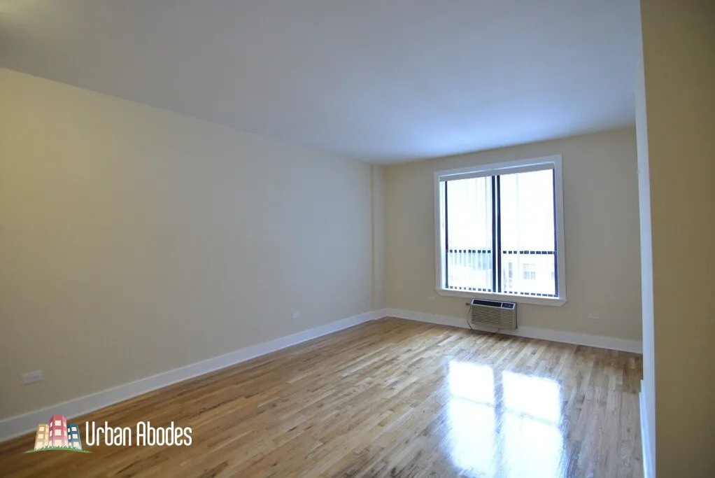 1425 N Dearborn St, ,  60610, USA 60610-unit#4C-Chicago-IL