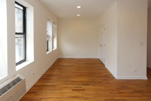 917 W Dakin St, ,  60613, USA 60613-unit#308-Chicago-IL