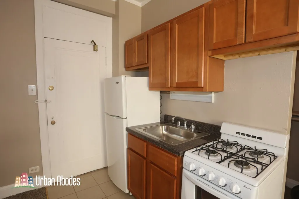 3831 N Fremont St, ,  60613, USA 60613-unit#309-Chicago-IL