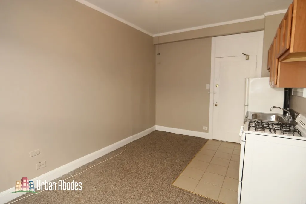 3831 N Fremont St, ,  60613, USA 60613-unit#309-Chicago-IL