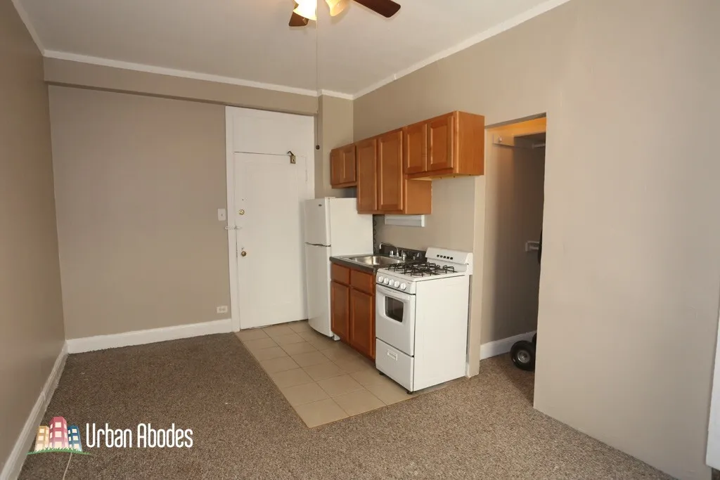 3831 N Fremont St, ,  60613, USA 60613-unit#309-Chicago-IL