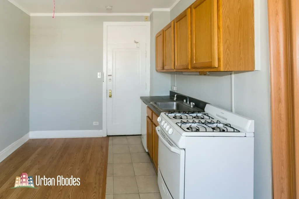 3831 N Fremont St, ,  60613, USA 60613-unit#514-Chicago-IL