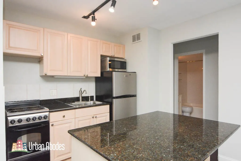 445 W Wellington Ave, ,  60657, USA 60657-unit#4D-Chicago-IL