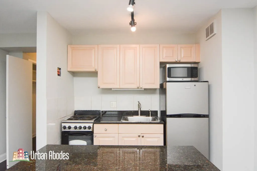 445 W Wellington Ave, ,  60657, USA 60657-unit#4D-Chicago-IL