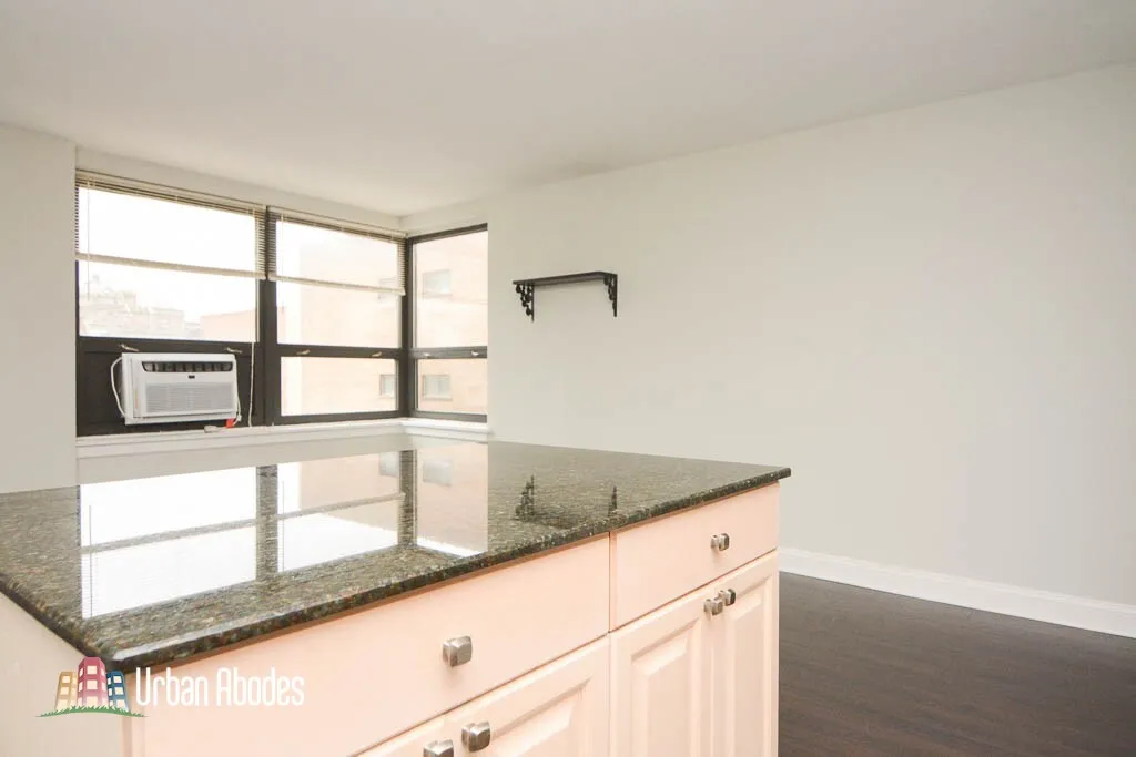 445 W Wellington Ave, ,  60657, USA 60657-unit#4D-Chicago-IL