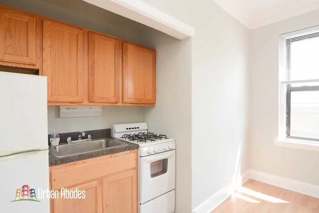3831 N Fremont St, ,  60613, USA 60613-unit#402-Chicago-IL