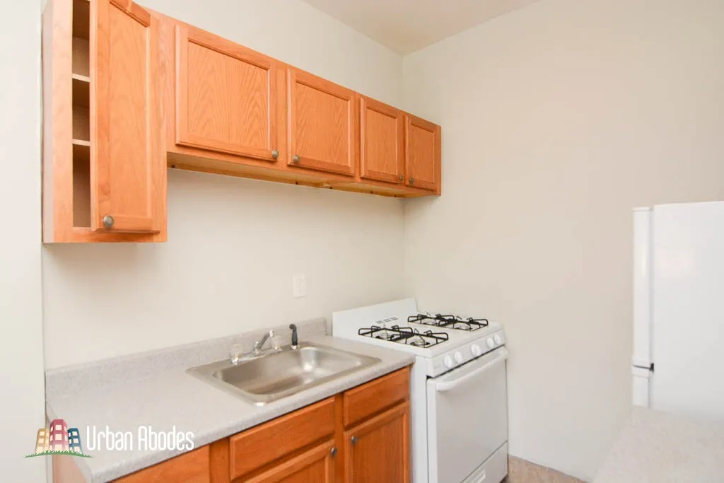 4851 N Damen Ave, , 60625, USA 60625-unit#301-Chicago-IL