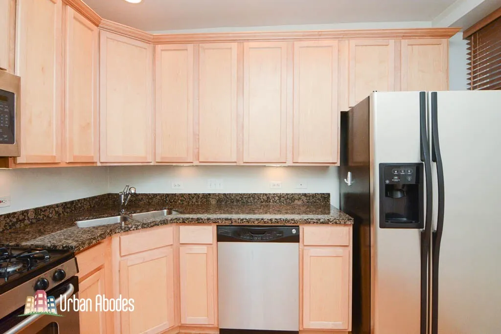 3244 N Clifton Ave, ,  60657, USA 60657-unit#1E-Chicago-IL