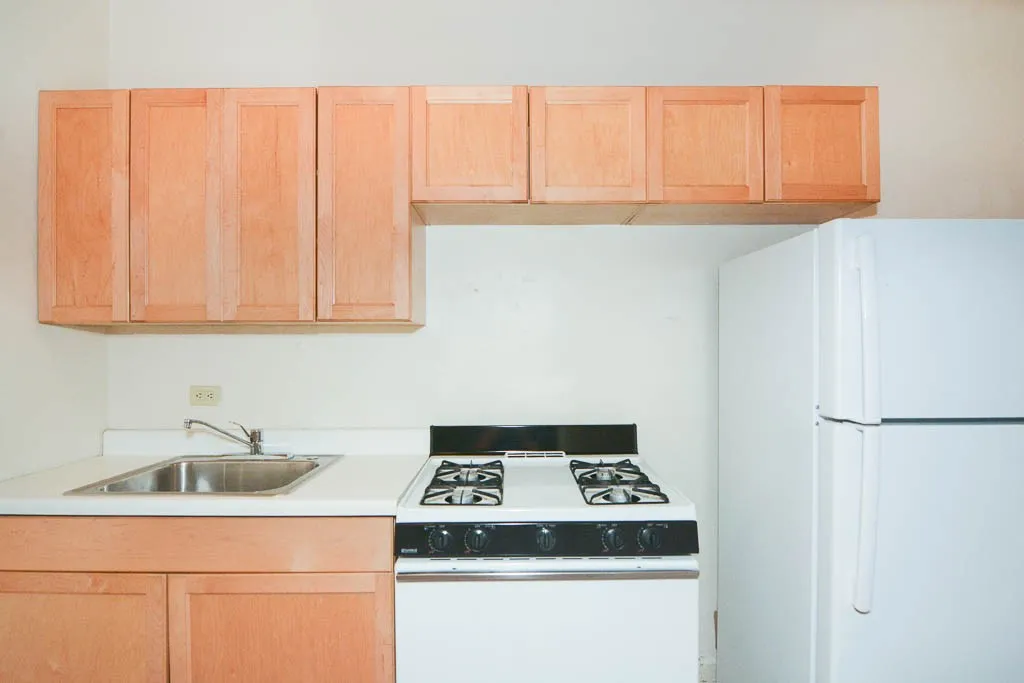 1050 W George St, ,  60657, USA 60657-unit#108-Chicago-IL