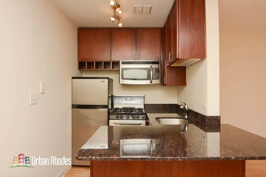 625 W Wrightwood Ave, ,  60614, USA 60614-unit#219-Chicago-IL