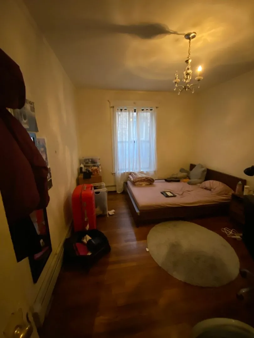 5424 S University Ave, ,  60615, USA 60615-unit#2S-Chicago-IL