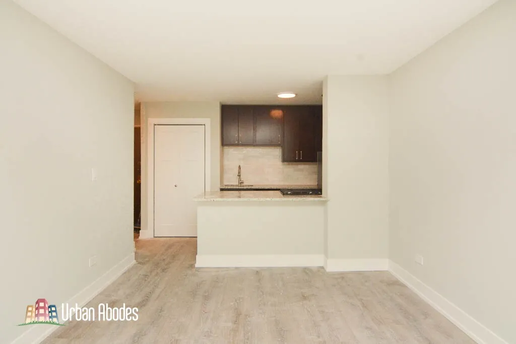 445 W Barry Ave, , 60657, USA 60657-unit#302-Chicago-IL