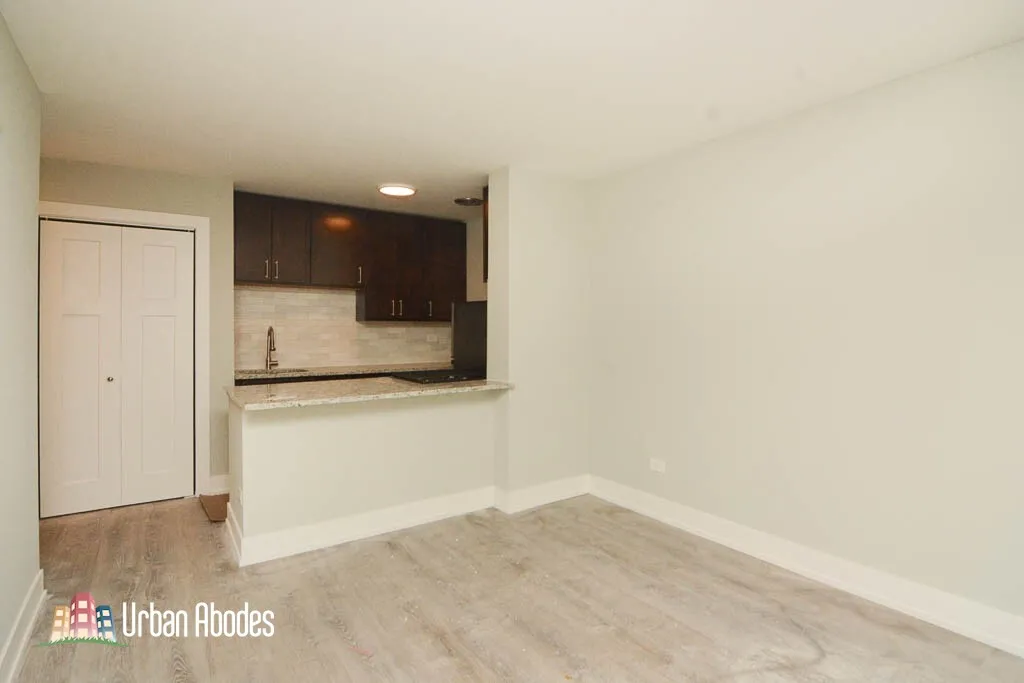 445 W Barry Ave, , 60657, USA 60657-unit#302-Chicago-IL