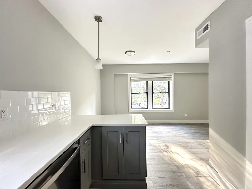 1133 Oak Ave, ,  60202, USA 60202-unit#1W-Evanston-IL