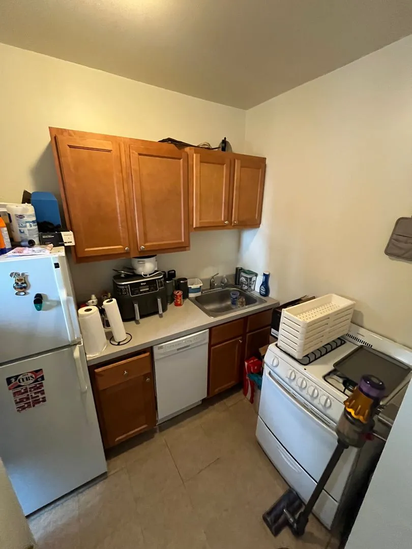 1202 W Eddy St, , 60657, USA 60657-unit#2-Chicago-IL