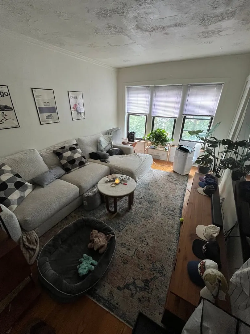 1202 W Eddy St, , 60657, USA 60657-unit#2-Chicago-IL