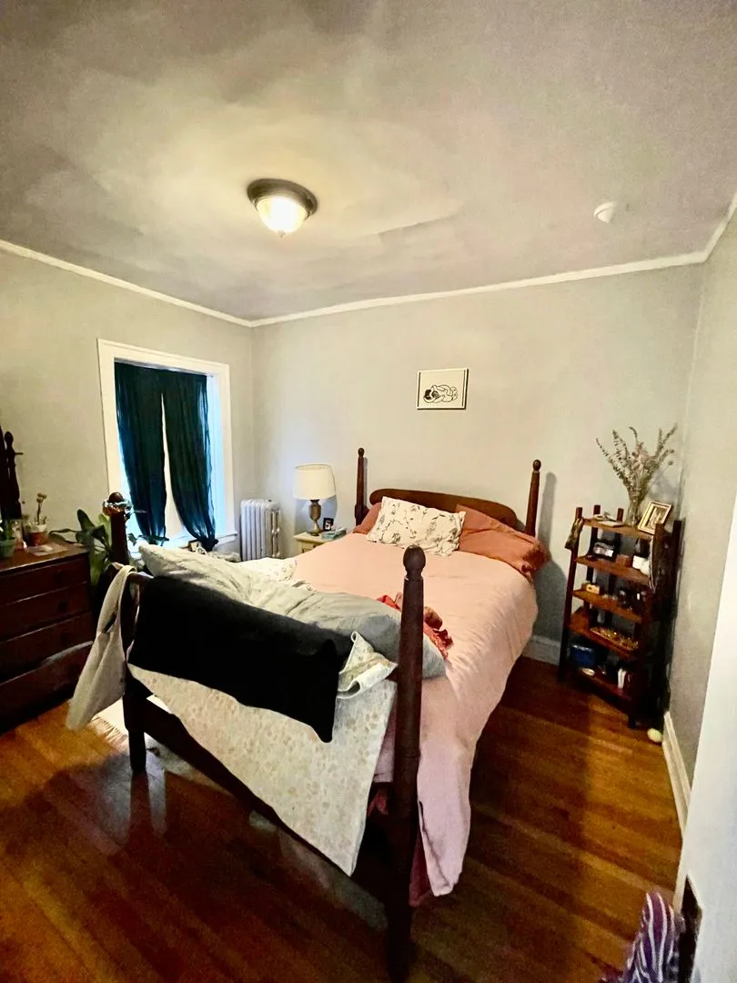 1329 W Touhy Ave, ,  60626, USA 60626-unit#2S-Chicago-IL