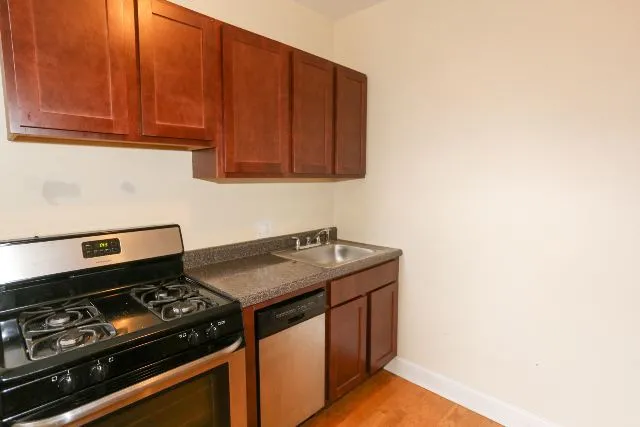 3728 N Pine Grove Ave, ,  60613, USA 60613-unit#1E-Chicago-IL
