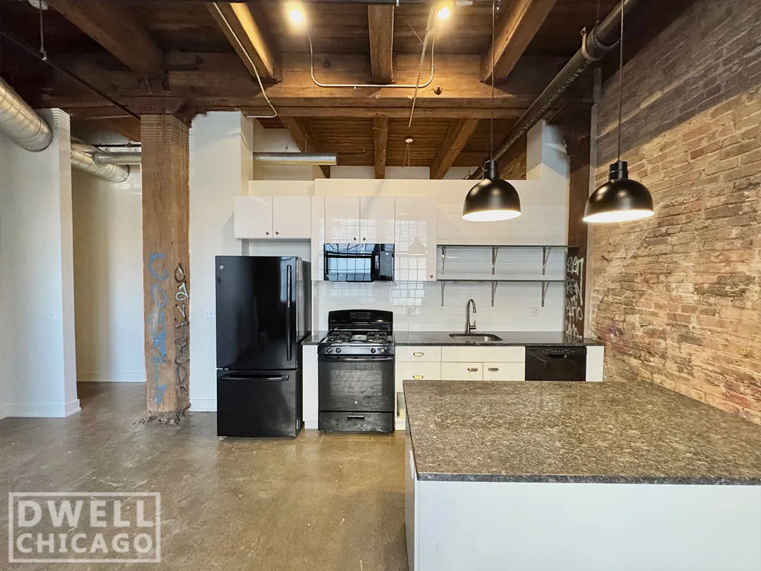 1435 W 15th St, , 60608, USA 60608-unit#108-Chicago-IL