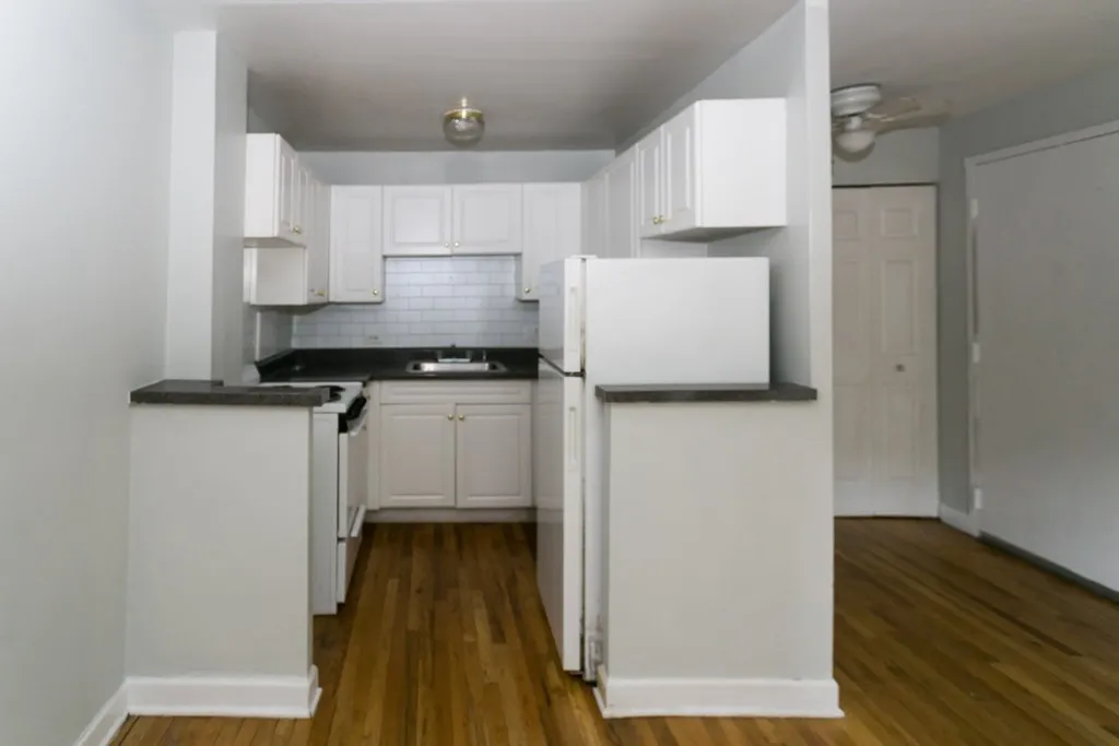 1446 N Dearborn St, ,  60610, USA 60610-unit#1A-Chicago-IL