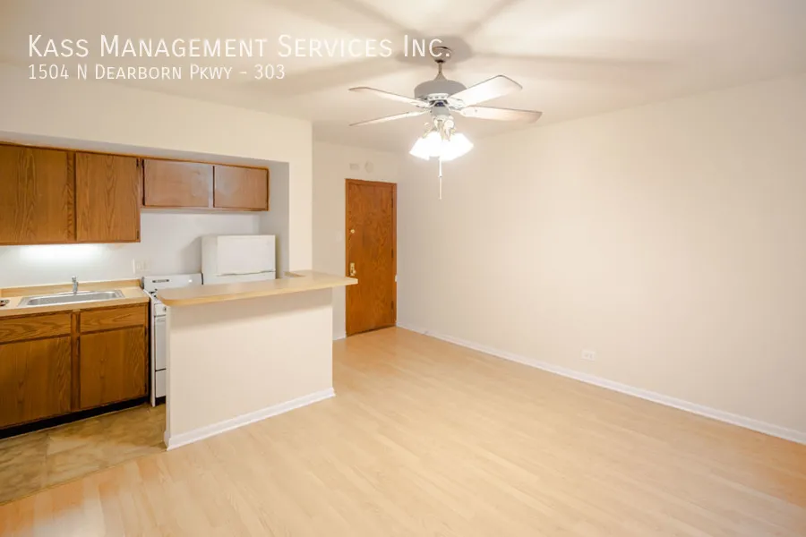 1504 N Dearborn Pkwy, , 60610, USA 60610-unit#303-Chicago-IL