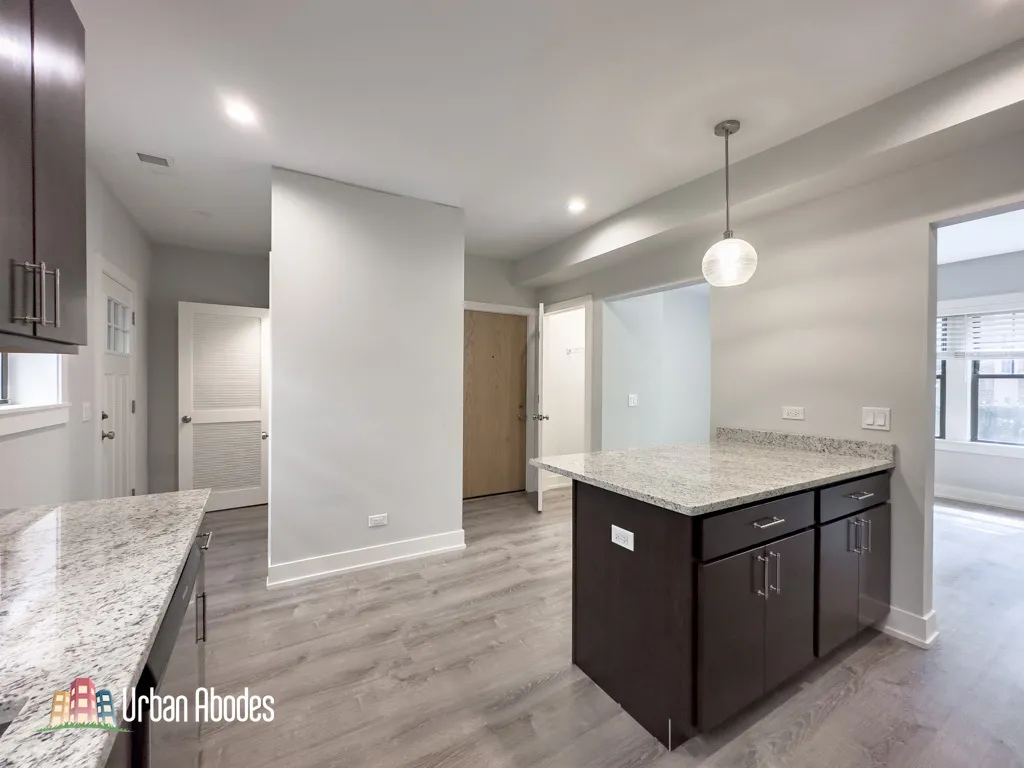 1145 Maple Ave, ,  60202, USA 60202-unit#1-Evanston-IL