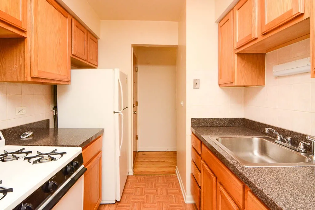 530 W Aldine Ave, ,  60657, USA 60657-unit#309-Chicago-IL