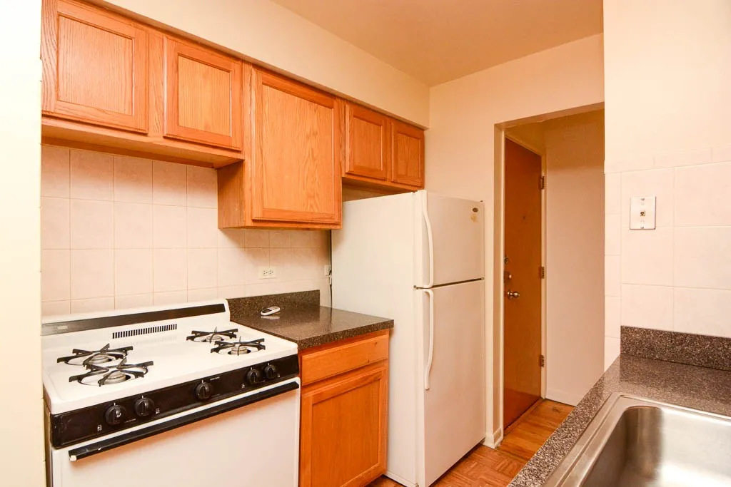 530 W Aldine Ave, ,  60657, USA 60657-unit#309-Chicago-IL