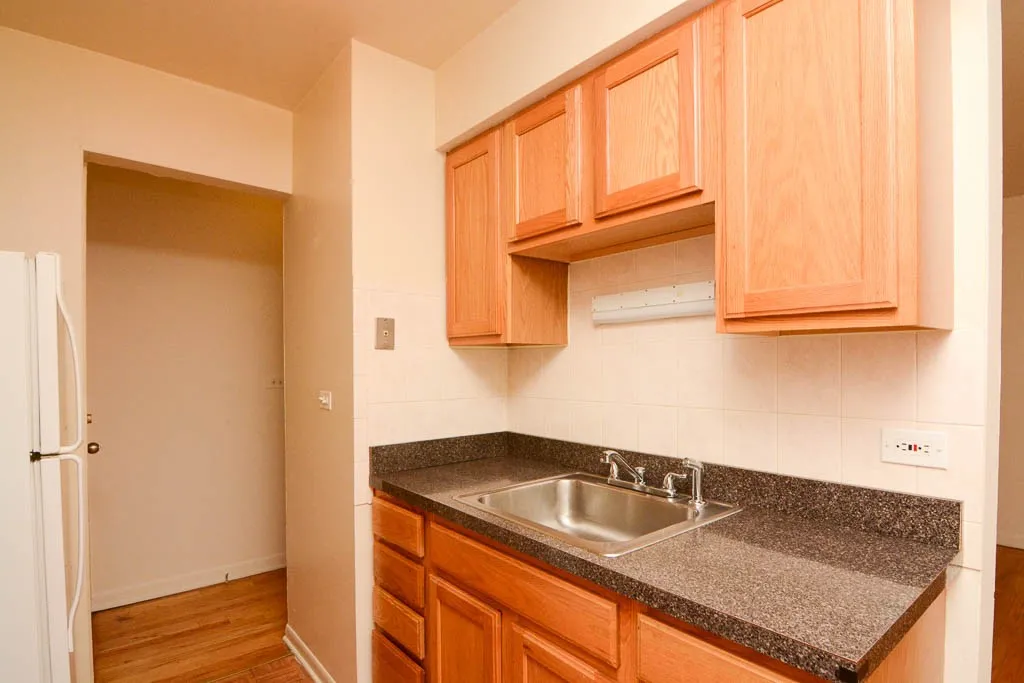 530 W Aldine Ave, ,  60657, USA 60657-unit#309-Chicago-IL