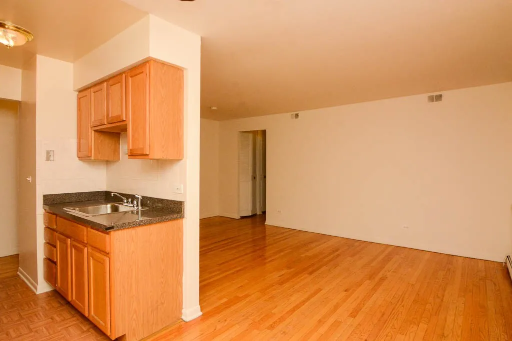 530 W Aldine Ave, ,  60657, USA 60657-unit#309-Chicago-IL