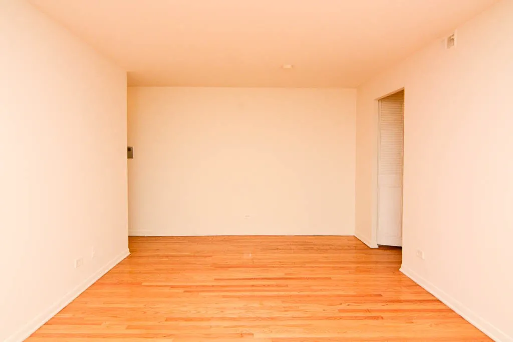 530 W Aldine Ave, ,  60657, USA 60657-unit#309-Chicago-IL