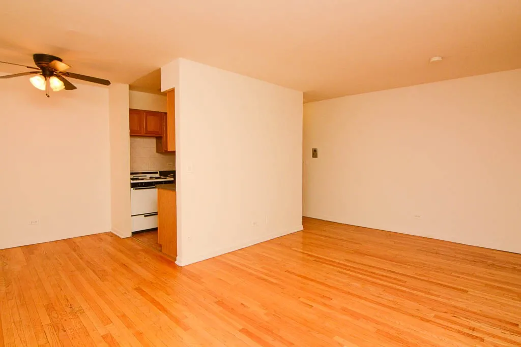 530 W Aldine Ave, ,  60657, USA 60657-unit#309-Chicago-IL