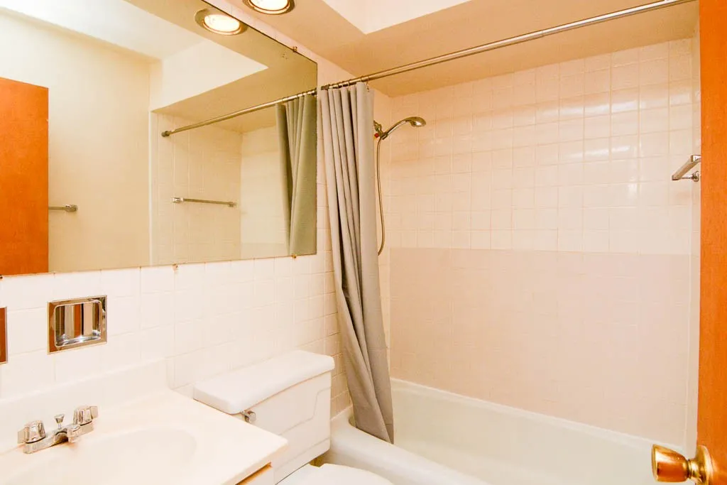 530 W Aldine Ave, ,  60657, USA 60657-unit#309-Chicago-IL