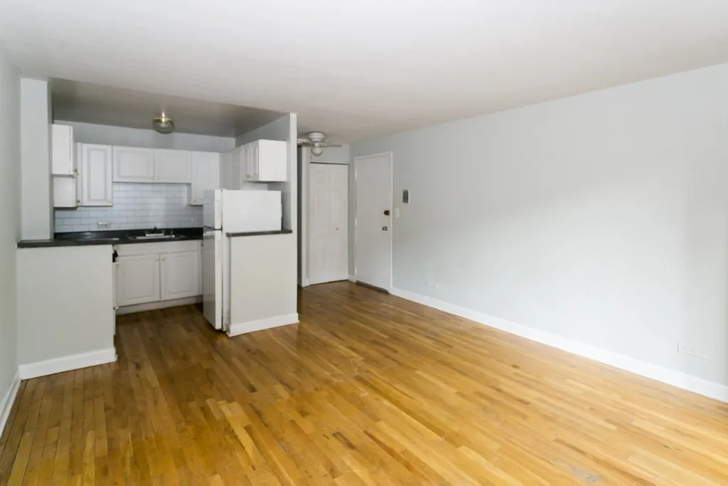1446 N Dearborn St, ,  60610, USA 60610-unit#1A-Chicago-IL