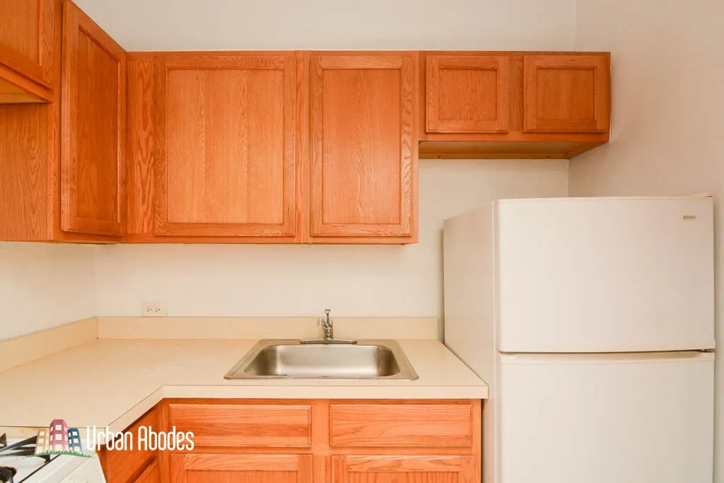 1164 N Dearborn St, ,  60610, USA 60610-unit#404-Chicago-IL