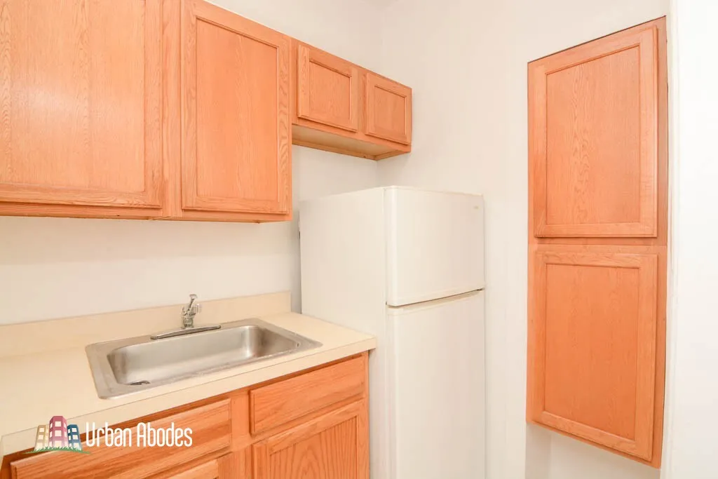 1164 N Dearborn St, ,  60610, USA 60610-unit#404-Chicago-IL