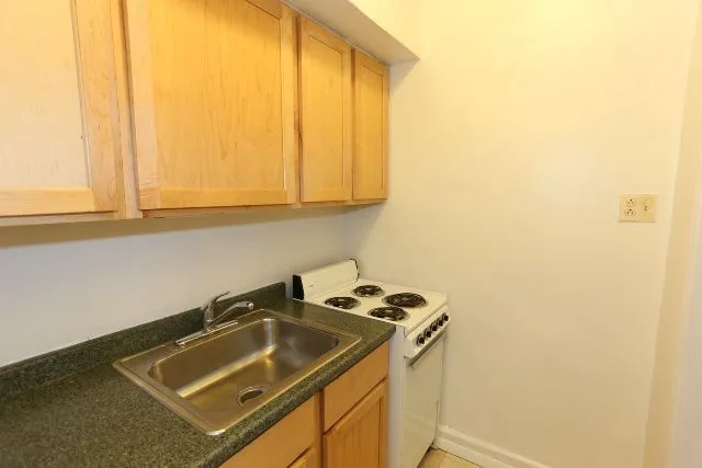 536 W Arlington Pl, ,  60614, USA 60614-unit#305-Chicago-IL