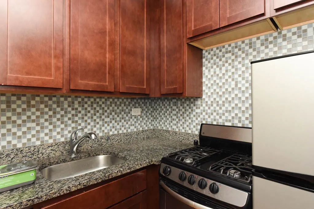 550 W Arlington Pl, , 60614, USA 60614-unit#207-Chicago-IL