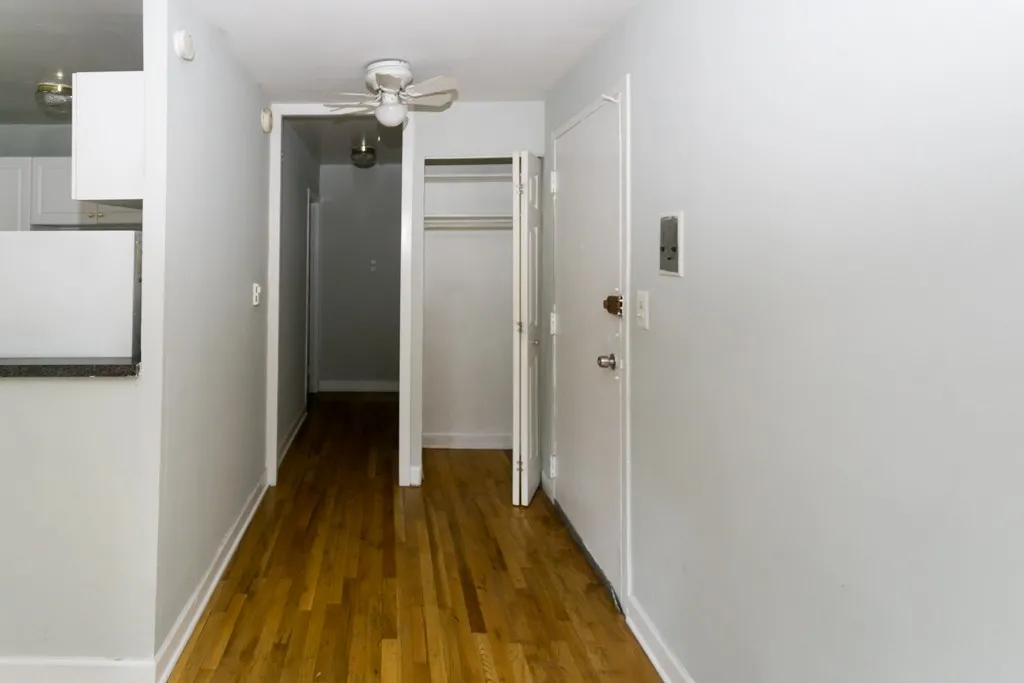 1446 N Dearborn St, ,  60610, USA 60610-unit#1A-Chicago-IL