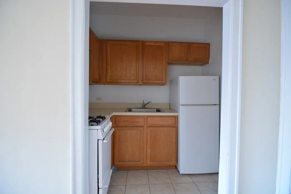 1164 N Dearborn St, ,  60610, USA 60610-unit#310-Chicago-IL