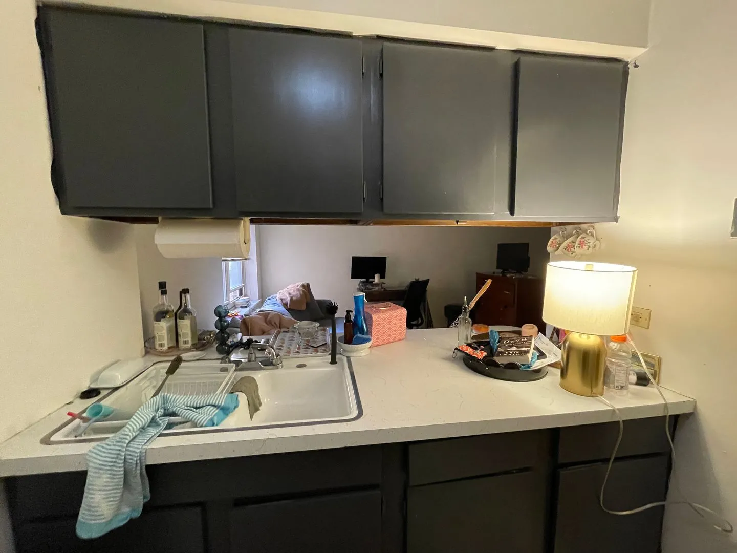 521 W Briar Pl, ,  60657, USA 60657-unit#308-Chicago-IL