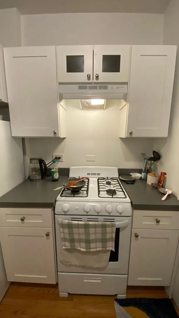 2016 W Berwyn Ave, , 60625, USA 60625-unit#1B-Chicago-IL
