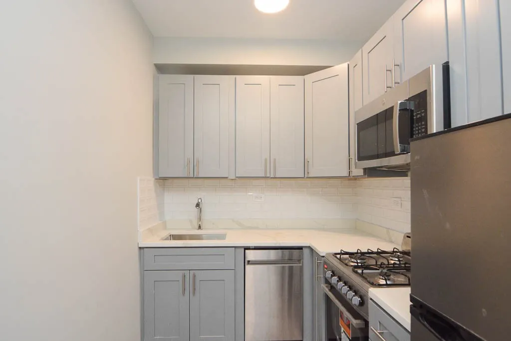 505 W Belmont Ave, ,  60657, USA 60657-unit#1N-Chicago-IL