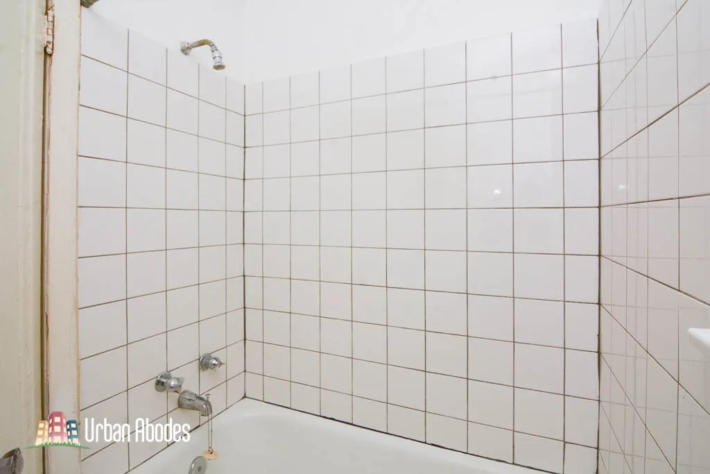 4829 N Damen Ave, ,  60625, USA 60625-unit#207-Chicago-IL