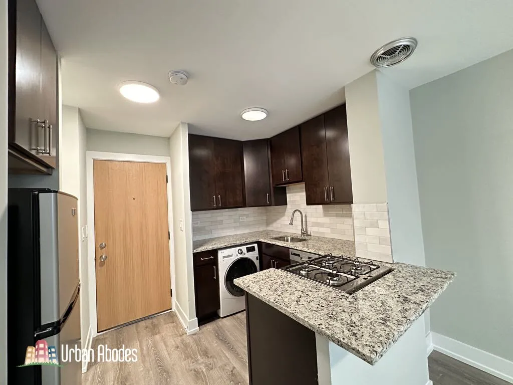 445 W Barry Ave, ,  60657, USA 60657-unit#318-Chicago-IL